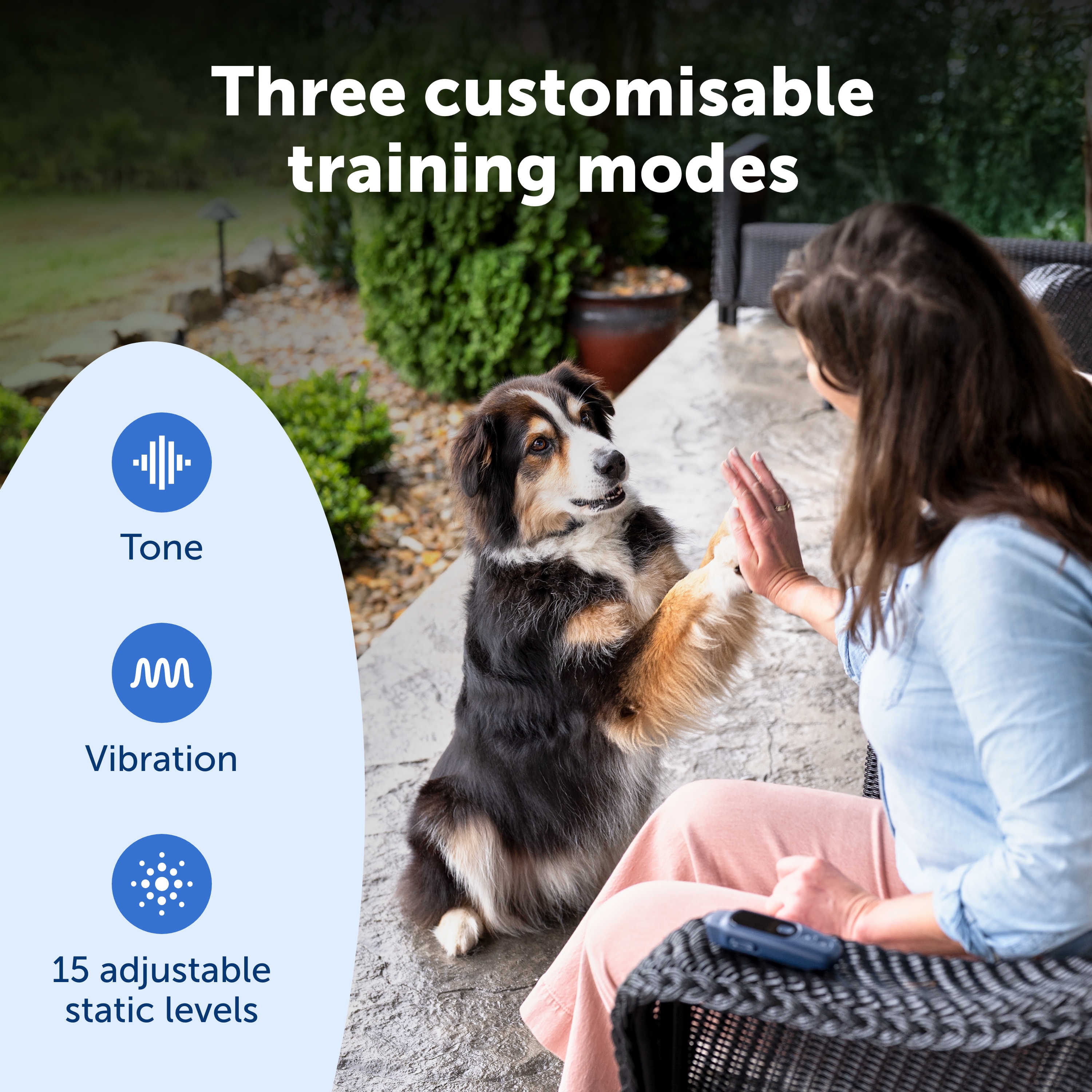 PetSafe Hondentrainer Core met Afstandsbediening
